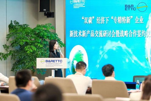 双碳目标引领未来 智能网联车企转型之路与一带一路合作新机遇